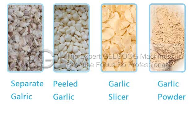 garlic powder processing machine