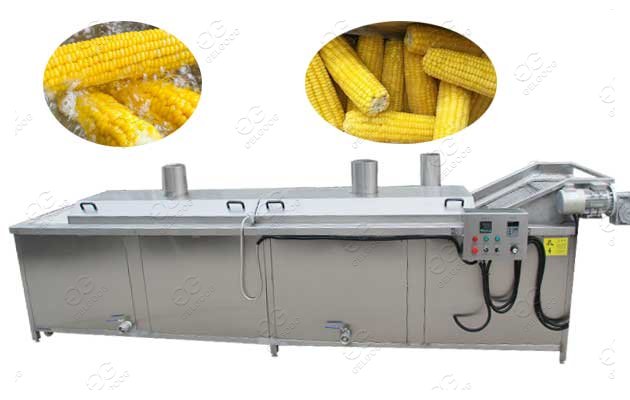 Sweet Corn Cob Blanching Mach