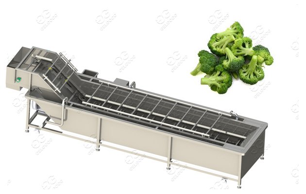 broccoli florets washing machine