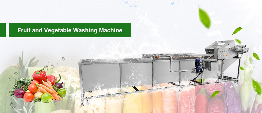 Fruit Washing Machine