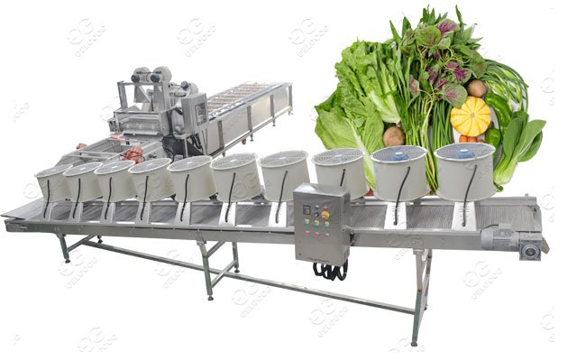 Fruit And Vegetable Processin