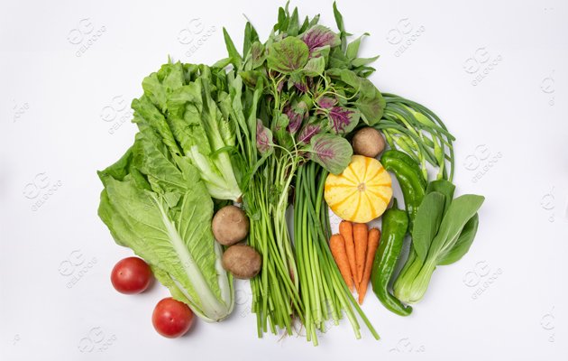 vegetable export