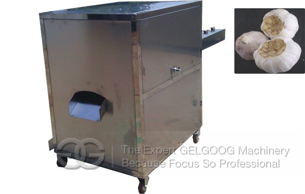 Garlic Concave Root Cutting Machine 