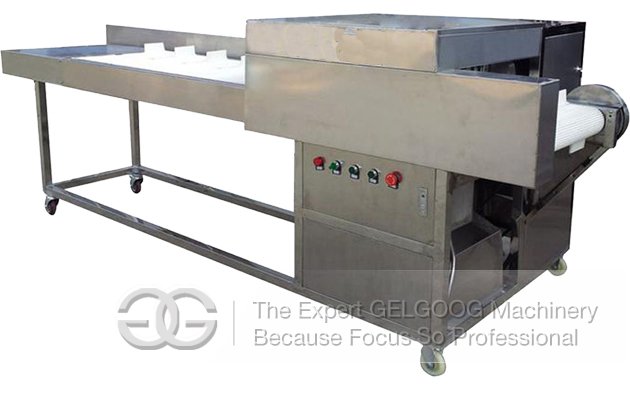 Needle Mushroom Root Cutting Machine 