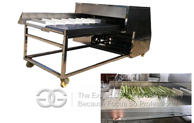 Needle Mushroom Root Cutting Machine 