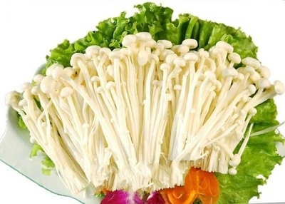 Needle Mushroom Root Cutting Machine 