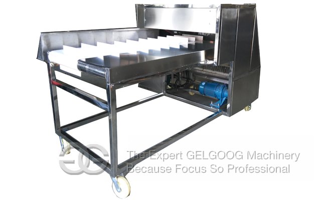 Vegetable Root Cutting Machin