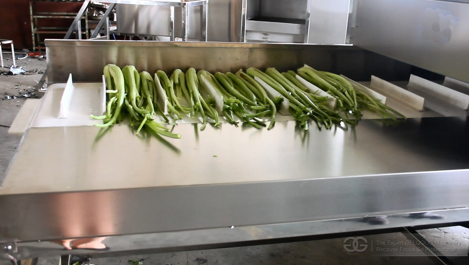 Vegetable Root Cutting Machine
