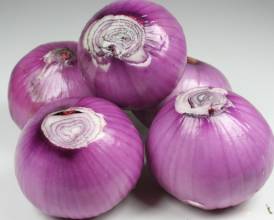 onion root cutting machine