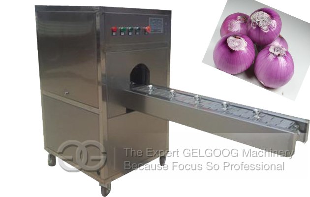 Stainless Steel Onion Root Cutting Machine Manufacturer Commercial 