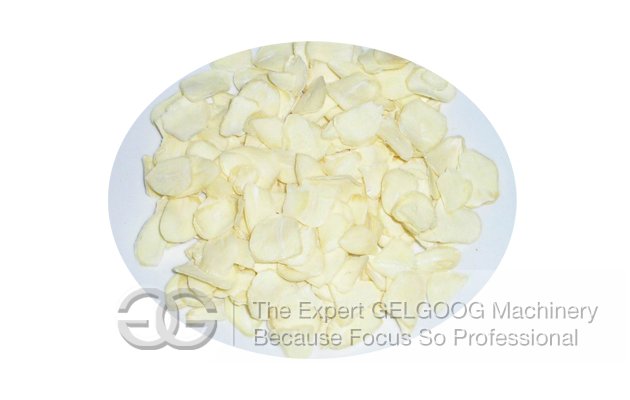 Garlic Slicing Machine Price