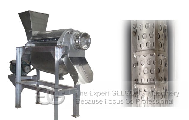 Fruit Juice Making Machine