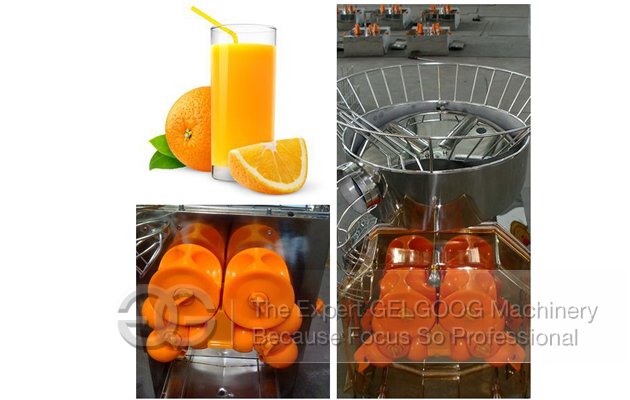 Fresh Orange Juice Extractor Machine