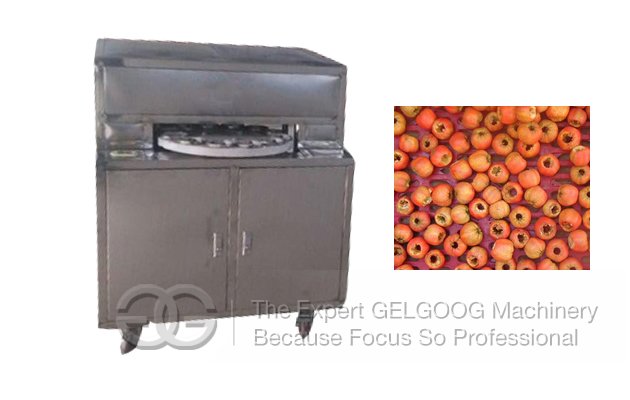 Fruit Seed Pitting Machine