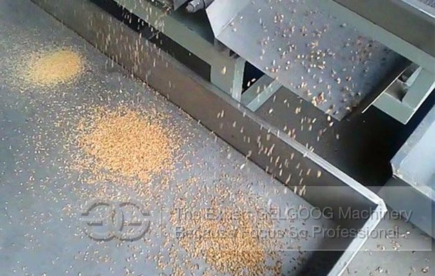 Peanut Chopping Machine