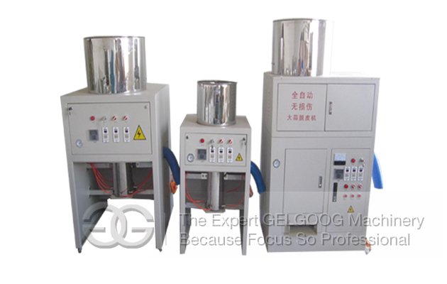 Small Capacity Garlic Peeling Machine 