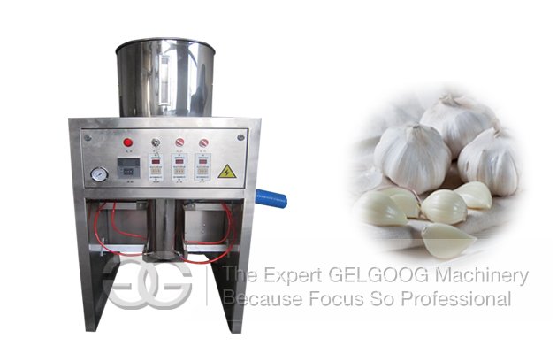 Remove Garlic Clove Skin by Automatic Garlic Peeling Machine