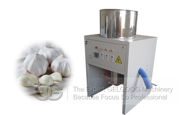 Remove Garlic Clove Skin by Automatic Garlic Peeling Machine