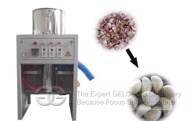 Automatic Garlic Peeling Machine Price