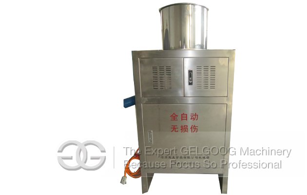 Small Model Onion Skin Removal Machine