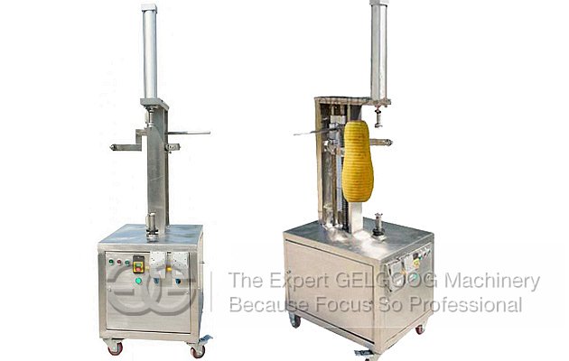 Pumpkin Peeling Machine Factory Price