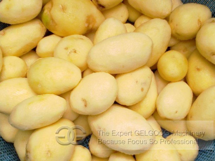300kg/h Potato Washer and Peeler Machine with Best Price 