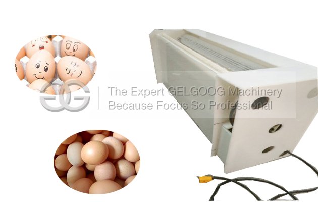 CE Approved Eggs Washing Machine
