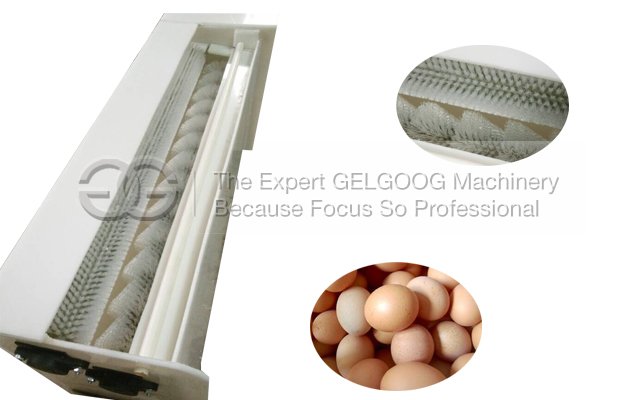 CE Approved Eggs Washing Machine