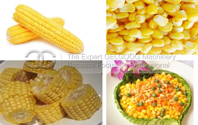 Fresh Corn Threshing Machine Automatic