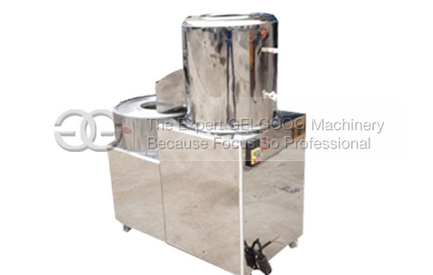 Potato Washing and Cutting Machine