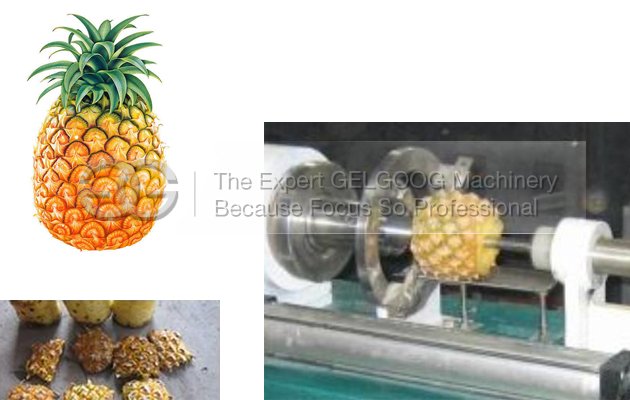 Pineapple Peeler and Corer Machine 20pcs/min