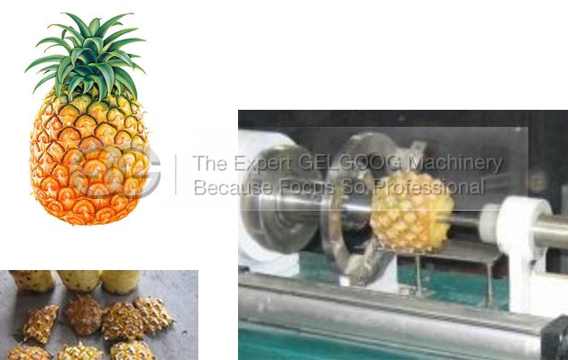 Small Pineapple Peeler and Corer Machine