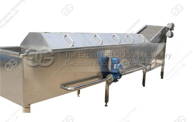 Larger Model Vegetable Blanching Machine