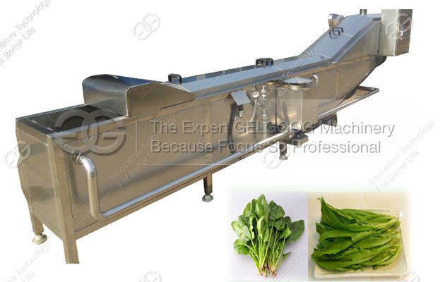 Larger Model Vegetable Blanching Machine