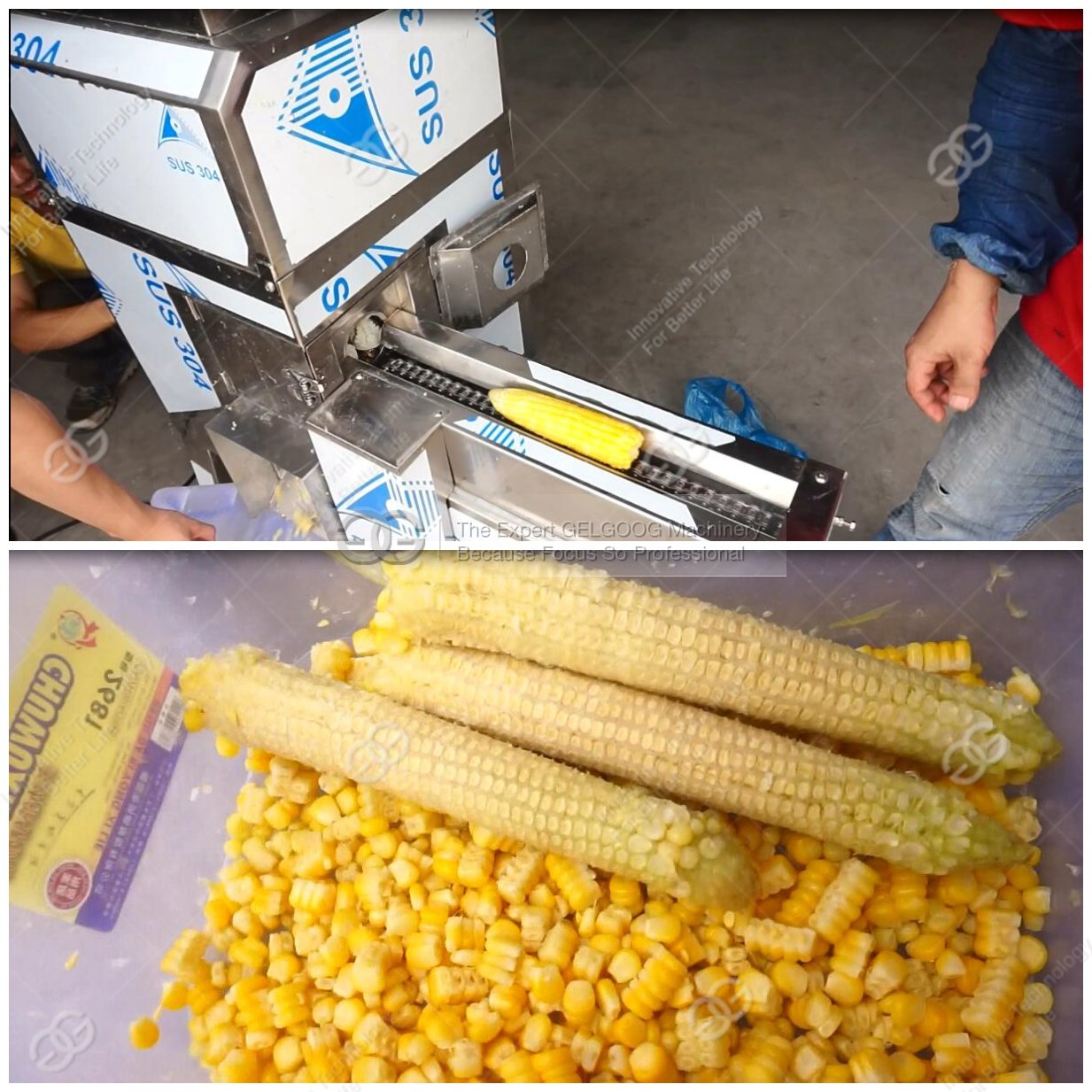 fresh sweet corn sheller machine | cooked cron sheller machine