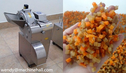 fruit and vegetable cube cutting machine with best price made in china 