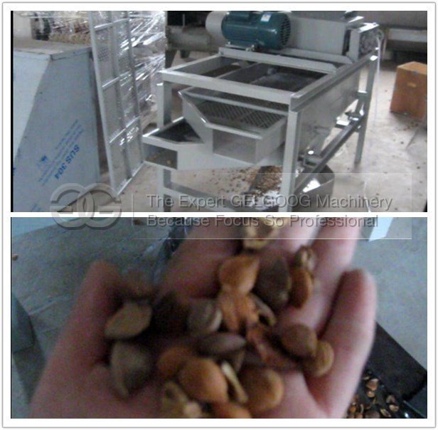 almond hulling machine | almond shelling machine
