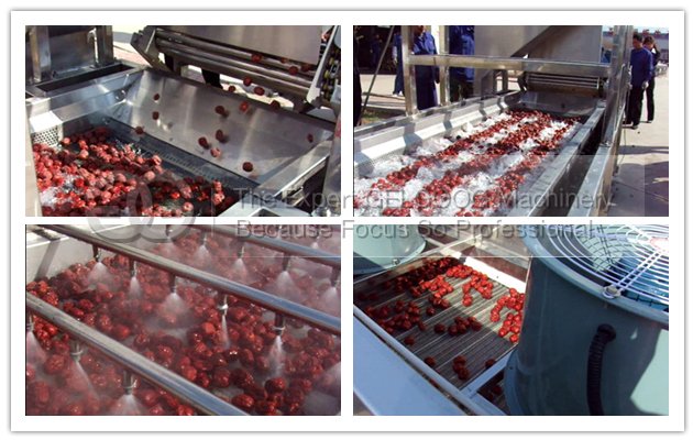 Date Washing Drying Machine Line|Date Palm Cleaner Line|Jujube Cleaning Line