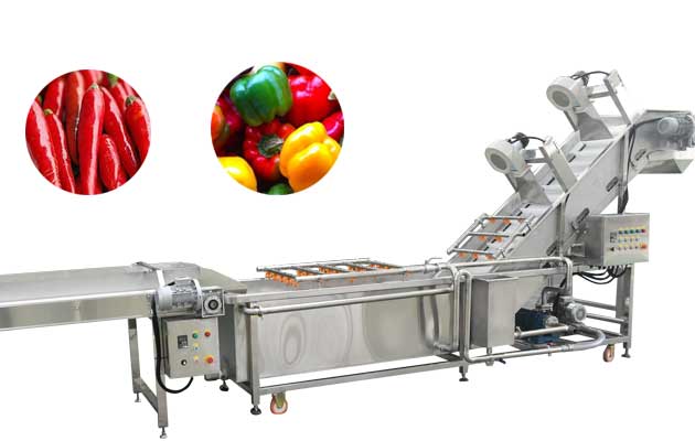 Pepper washing Line/Chili washing Drying Sorting Line