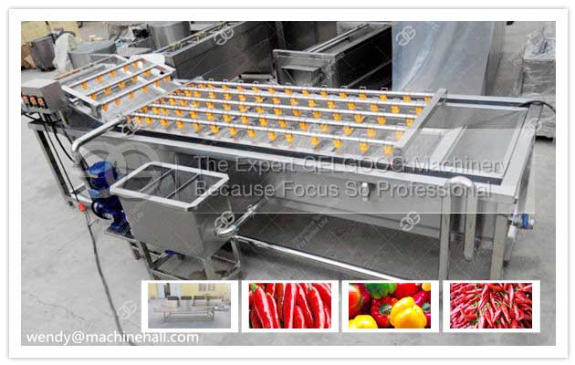 pepper washing processing line with low price made in china
