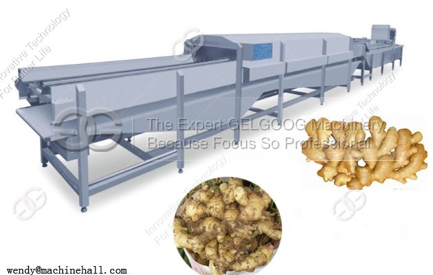 Ginger Washing Line|Ginger Cleaning Line|Ginger Processing Line for Sale