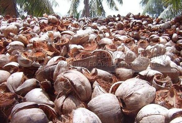 coconut dehusking machine