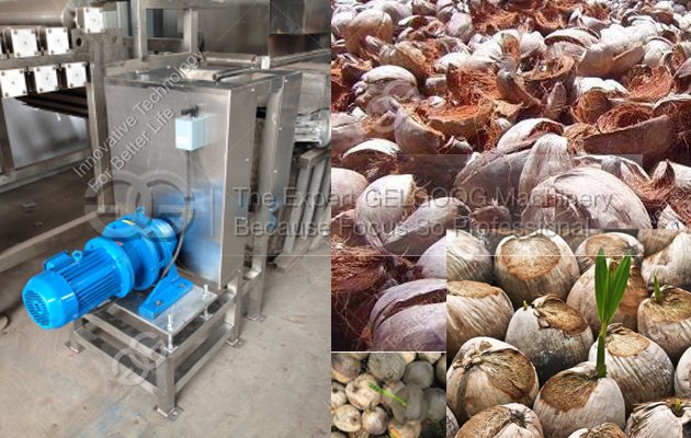 Automatic Coconut Dehusking Machine|Coconut Fibre Removing Machine