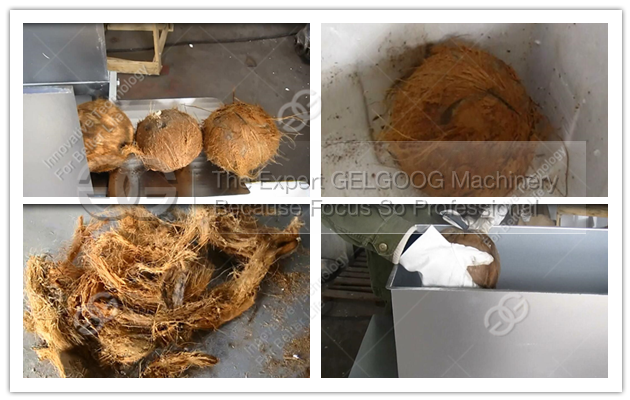 Coconut Brown Skin Removal Machine Coconut Dehusking Machine