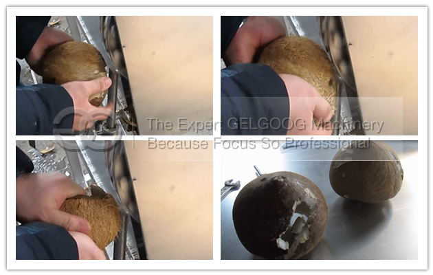 Coconut Shell Removal Machine For Sale