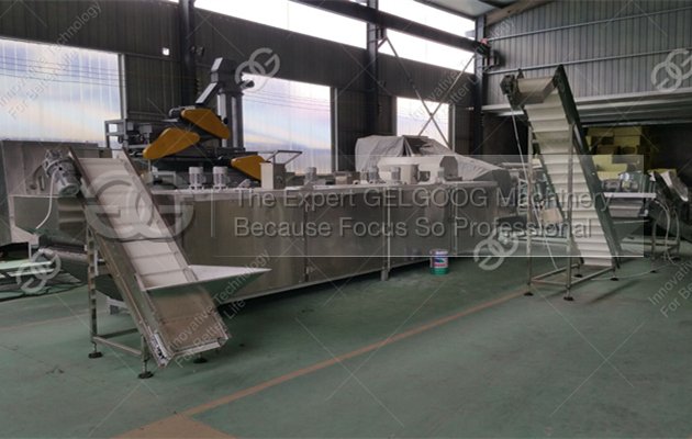 Sunflower Seeds Processing Line