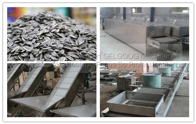 sunflower seeds process machine