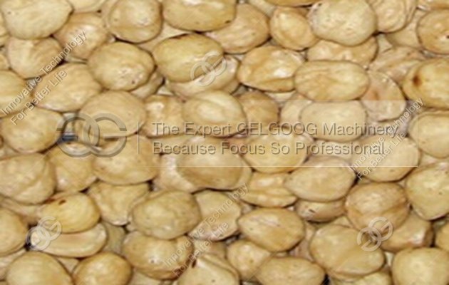 commercial cashew peeler machine china price