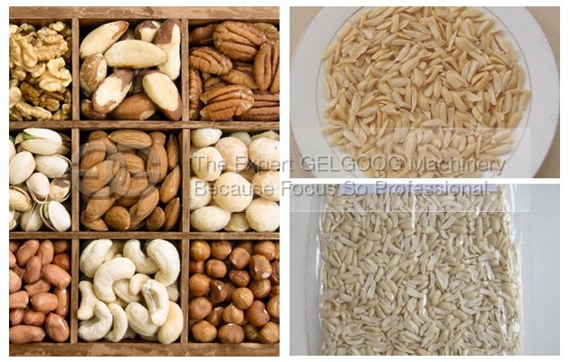 New Type Nut Strip Cutting Machine For Peanut|Almond|Pistachio