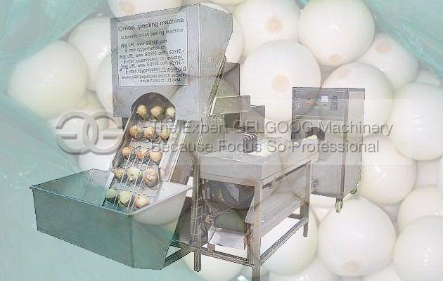 Onion Peeler Machine |Onion Skin Peeling Machine